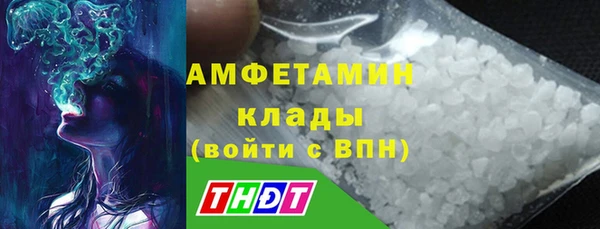 прущие грибы Алексин
