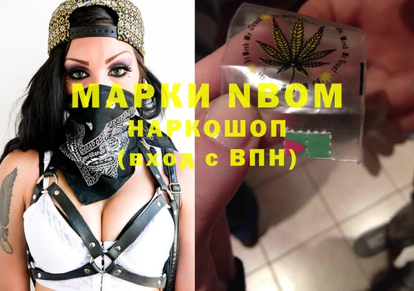 соль ск Алзамай