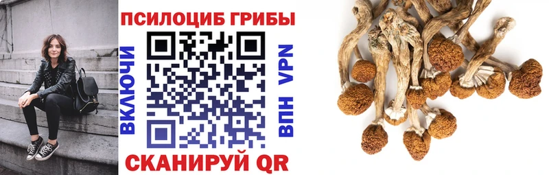 Псилоцибиновые грибы ЛСД Бронницы