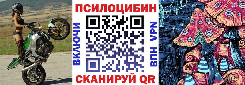 купить   Бронницы  Галлюциногенные грибы Cubensis 