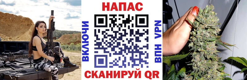 Бошки Шишки OG Kush Бронницы